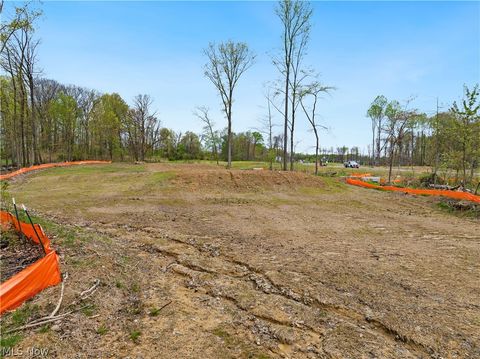 Tiny photo for 9528 River Birch Run, Brecksville, OH 44141 (MLS # 5207713)