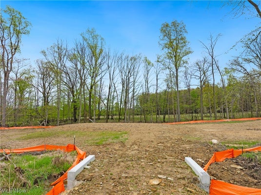 9528 RIVER BIRCH RUN, BRECKSVILLE, OH 44141 - Image 99a3ca4e867530cded40a5189296f9f6/3339043836