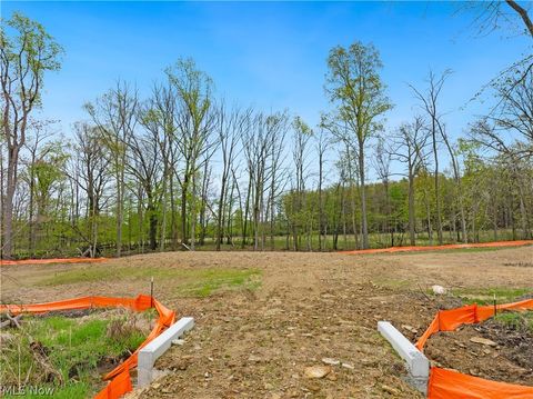 Photo of 9528 River Birch Run, Brecksville, OH 44141 (MLS # 5207713)