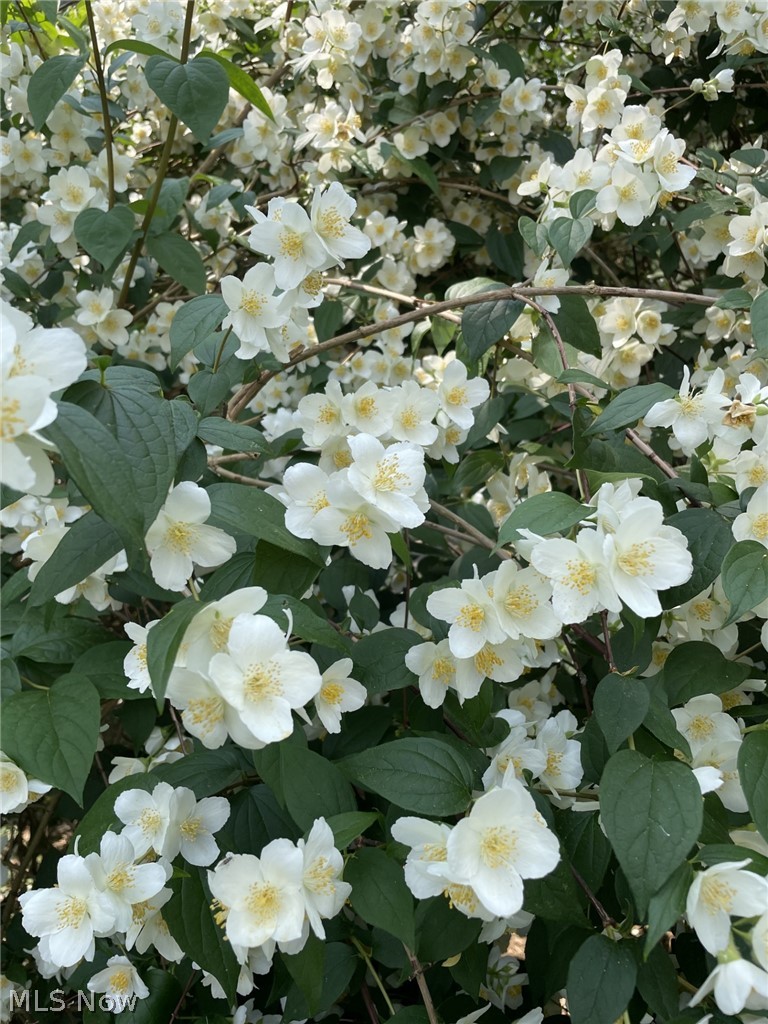 Heslop Morning View - Residential