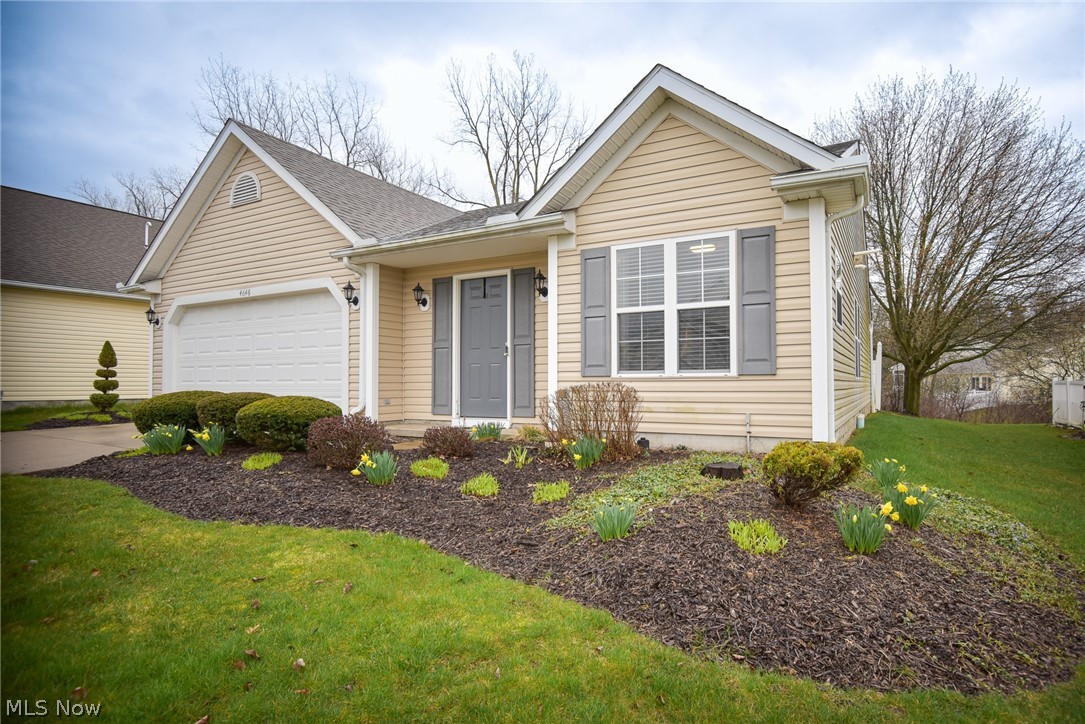 Pebble Creek Preserve Cluster Homes - Residential