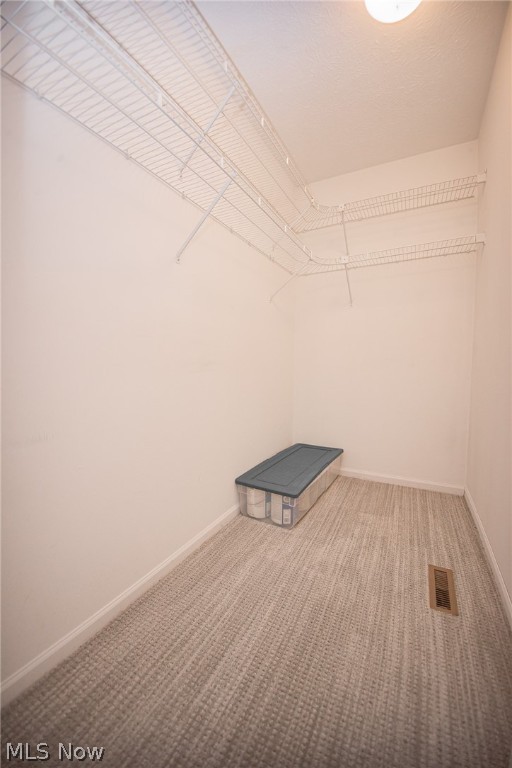 Pebble Creek Preserve Cluster Homes - Residential