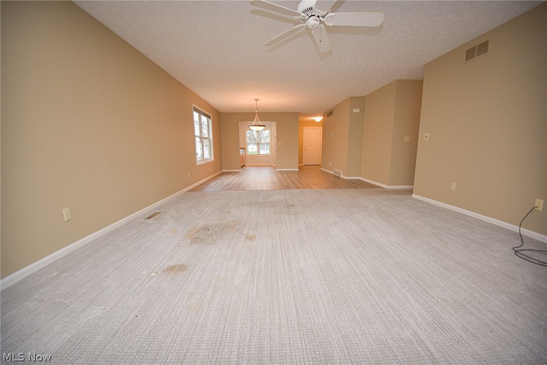 Pebble Creek Preserve Cluster Homes - Residential