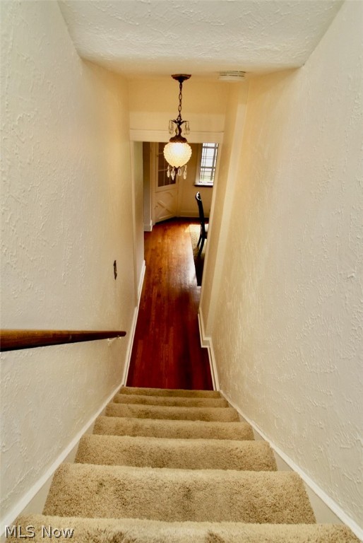 Lyndhurst Manor - Residential
