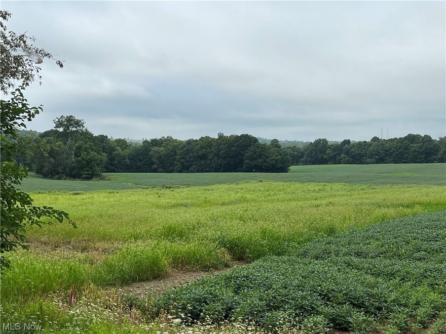 Excellent building location in West Holmes School District.  Just a mile off of SR 39.  Road frontage, flat, cleared lot.
