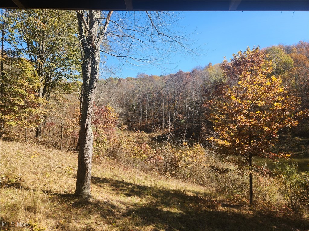 Bergholz Road, Carrollton, Ohio image 7