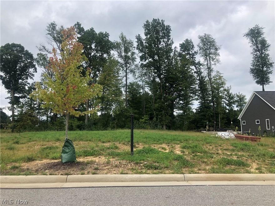 Great 1/3 acre lot in the final phase of King's Ridge in Green - public sewer & water - sidewalks - great neighborhood & location!