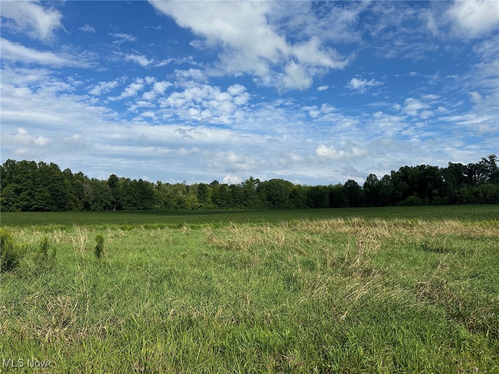 Partially open and partially wooded building lot. Additional land available. Soils have been completed for septic. Call today