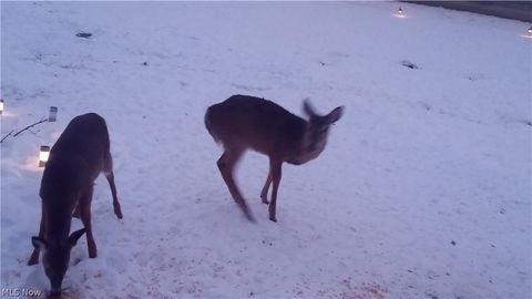 Vacant Land For Sale - 10294 Township Road 57<br/> Perry County, Roseville, OH 43777