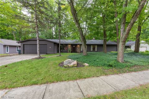 12101 The Bluffs Strongsville OH 44136