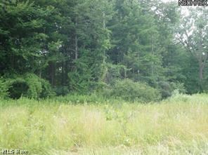 Squires Woods - Land