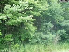 Squires Woods - Land