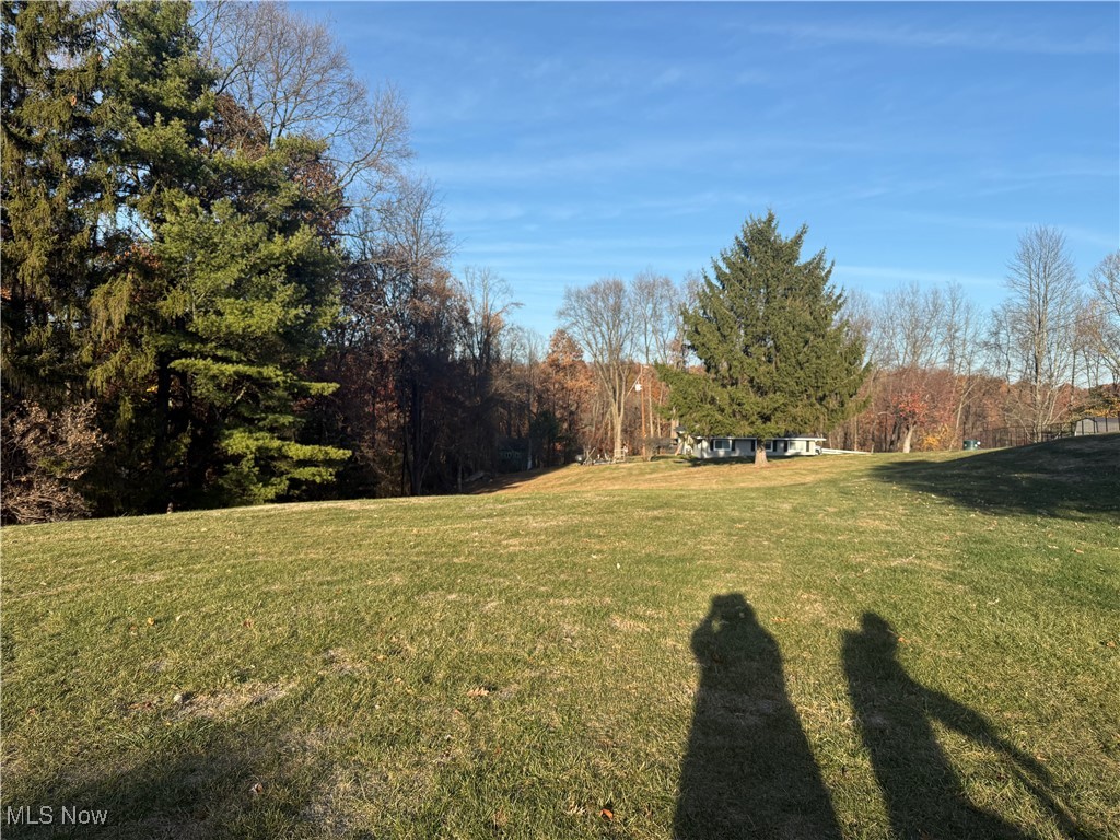 Skyline Drive, Cambridge, Ohio image 6