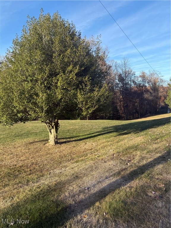 Skyline Drive, Cambridge, Ohio image 3