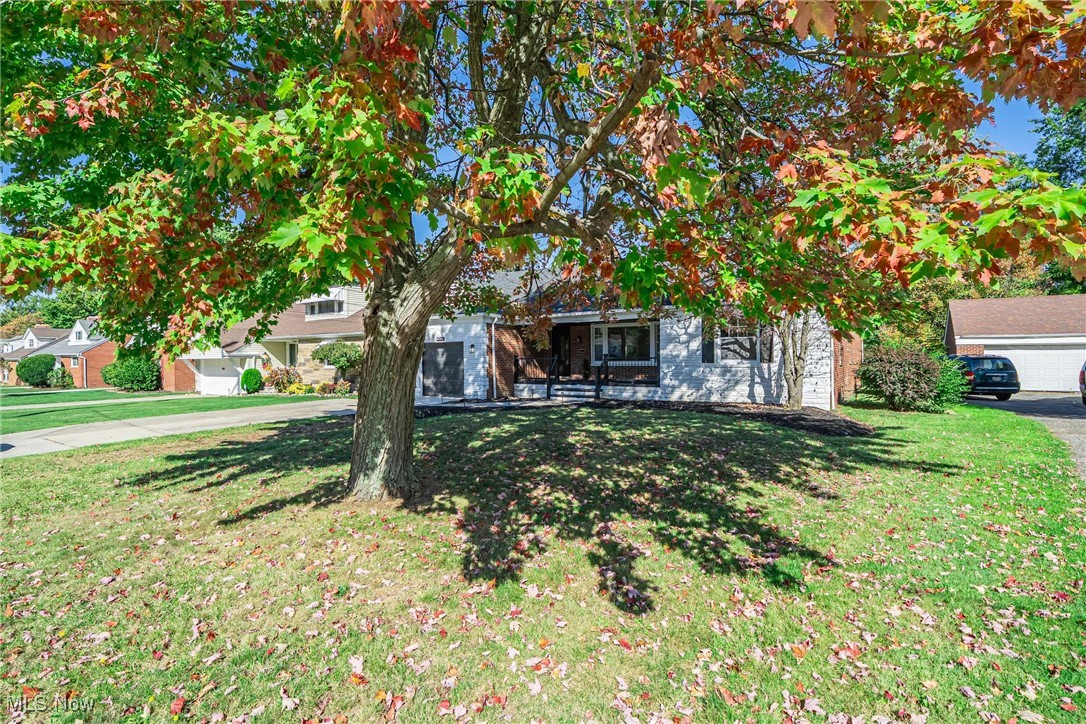 Euclid 06 - Residential