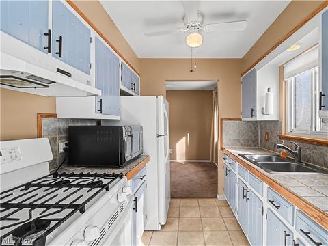 Tiny photo for 833 Sheryl Drive, Cleveland, OH 44109 (MLS # 5188160)