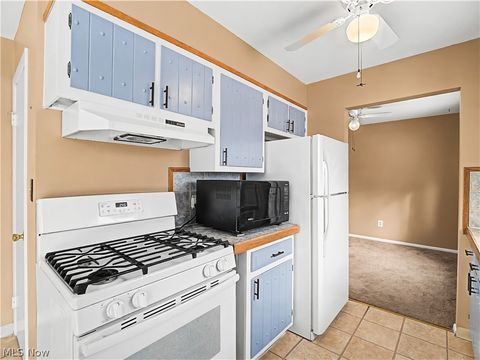 Tiny photo for 833 Sheryl Drive, Cleveland, OH 44109 (MLS # 5188160)