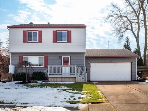 Photo of 833 Sheryl Drive, Cleveland, OH 44109 (MLS # 5188160)