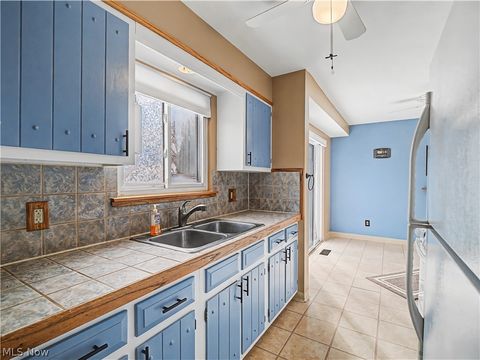 Tiny photo for 833 Sheryl Drive, Cleveland, OH 44109 (MLS # 5188160)