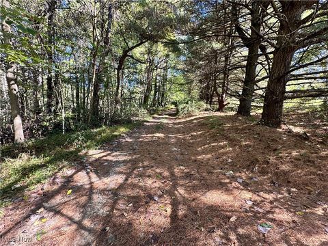 Tiny photo for 74369 Irish Ridge Road, Kimbolton, OH 43749 (MLS # 5162788)