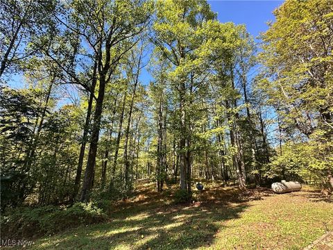 Tiny photo for 74369 Irish Ridge Road, Kimbolton, OH 43749 (MLS # 5162788)