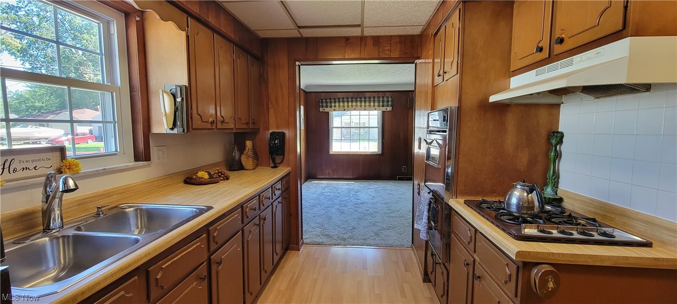 Willowick Park Allotment 3 - Residential