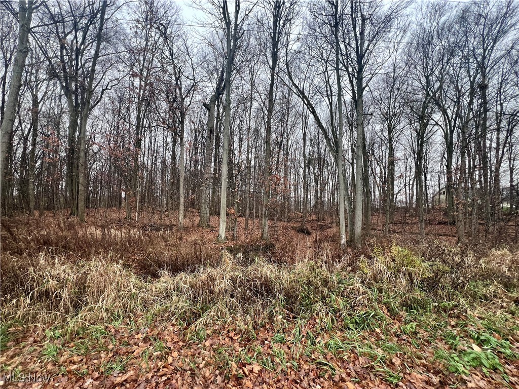 Stair Road, West Salem, Ohio image 1