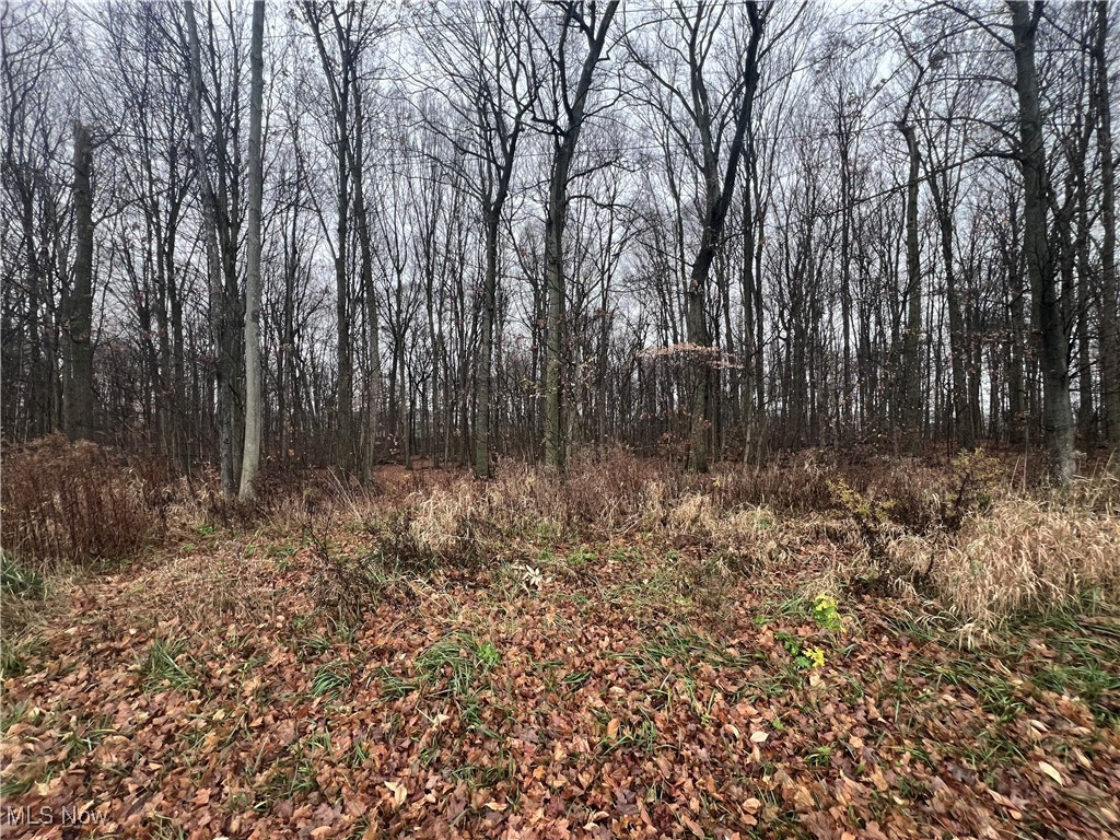 Stair Road, West Salem, Ohio image 2