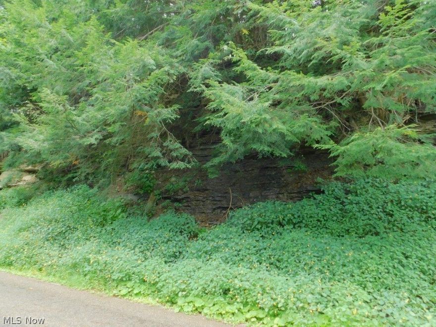 Offering 50+ acres in 2-parcels adjoining the Mohican river on front and a portion of Mohican State Forest (public hunting land) on back that is otherwise difficult to access. Great opportunity to buy secluded acreage for your getaway cabin or home in the heart of Mohican river recreational activity. Land has logging trails throughout. Immediate hunting rights will transfer. Clinton formation mineral rights are currently leased by Columbia gas storage fields but 50% of the deep mineral rights will transfer with both parcels and with Cabot drilling in the area there is potential for future oil & gas.