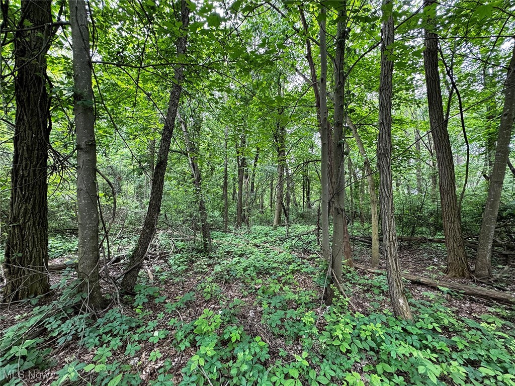 4570 Surmay Avenue, Canton, Ohio image 4