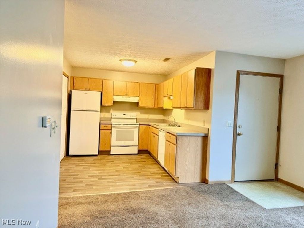 Photo of 1898 Springfield Lake Boulevard #205, Akron, OH 44312 (MLS # 5182703)