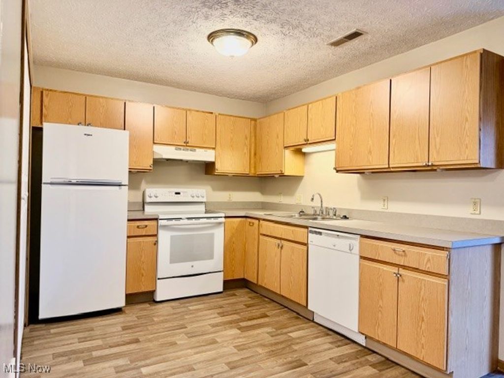 Photo of 1898 Springfield Lake Boulevard #205, Akron, OH 44312 (MLS # 5182703)