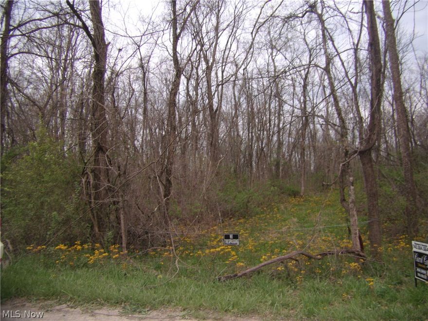 Gorgeous building site, level & wooded.  Lots of road frontage, private, great hunting area.  3.107 Acres!