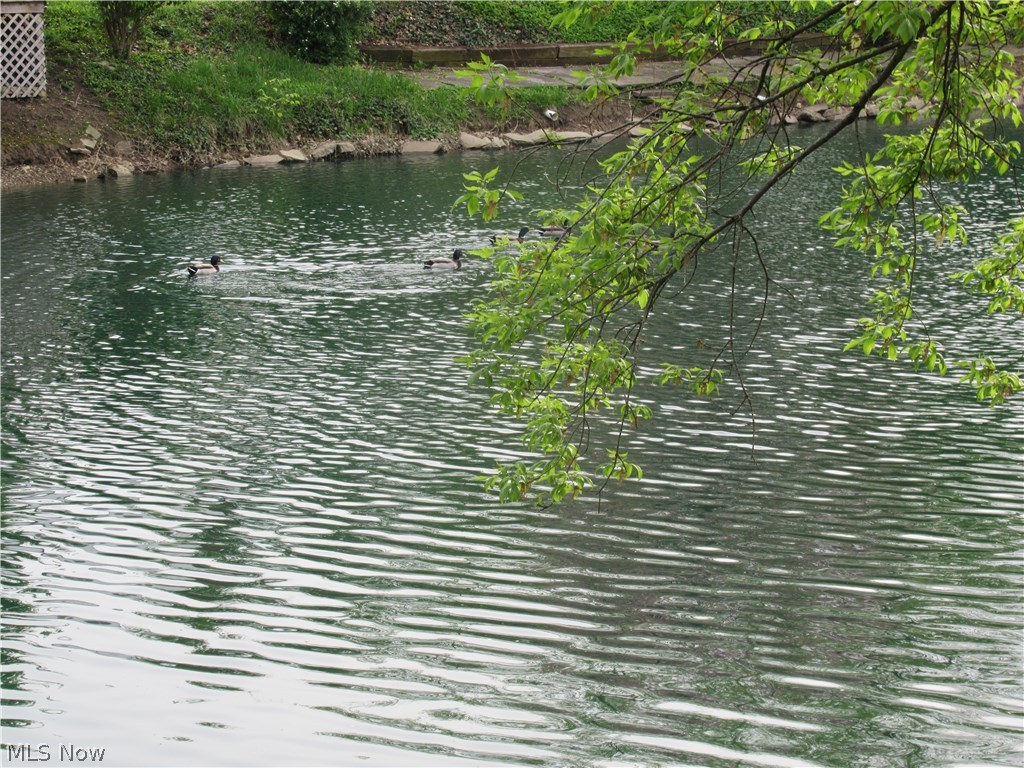 Eureka Park 01 - Residential