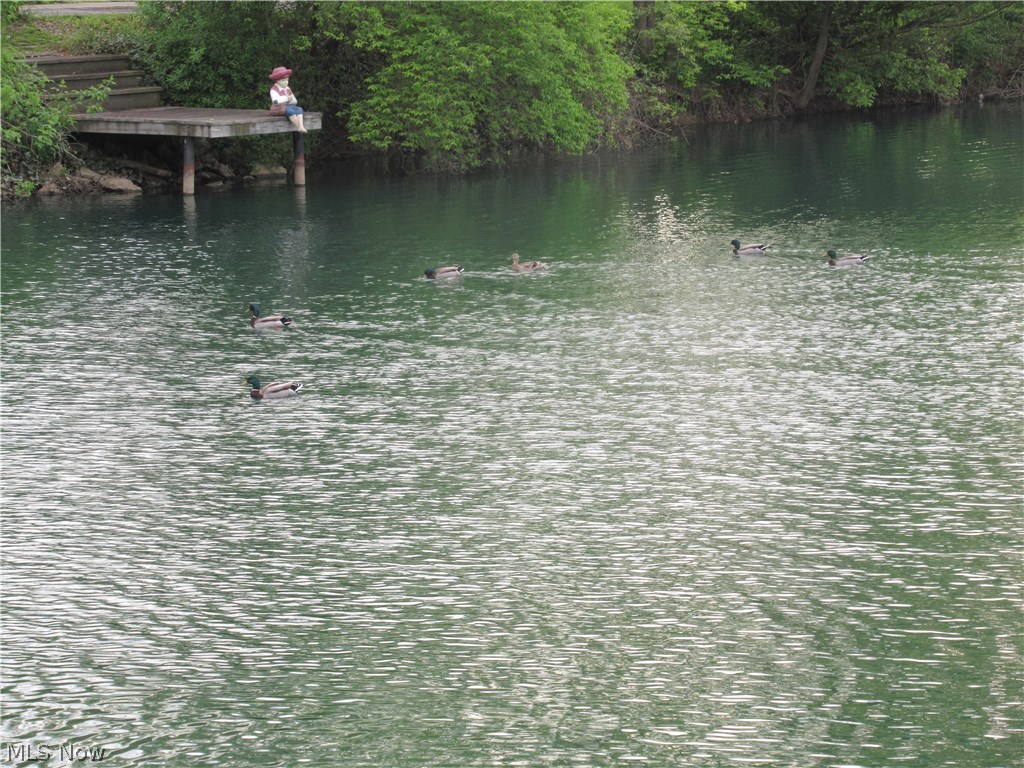 Eureka Park 01 - Residential