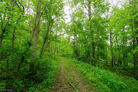 Vacant Land For Sale - Ervin Ln<br/> Morgan County, Stockport, OH 43787