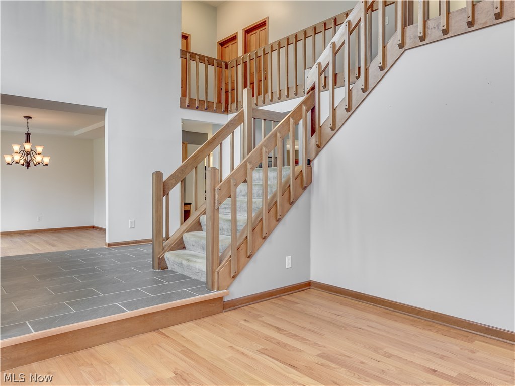 Springtree - Residential