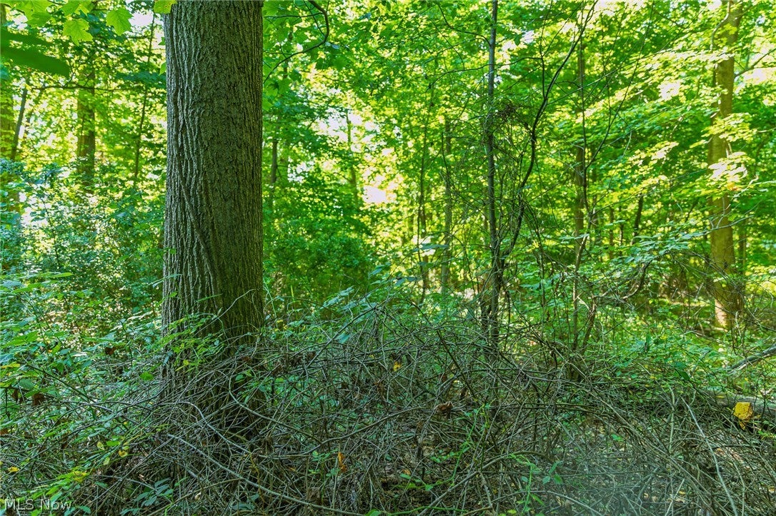 7559 Doylestown Road