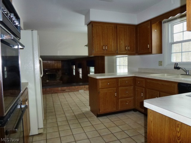 Lake Lucerne - Residential