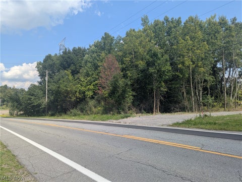Vacant Land For Sale - St Route 44<br/> Mantua, OH 44255