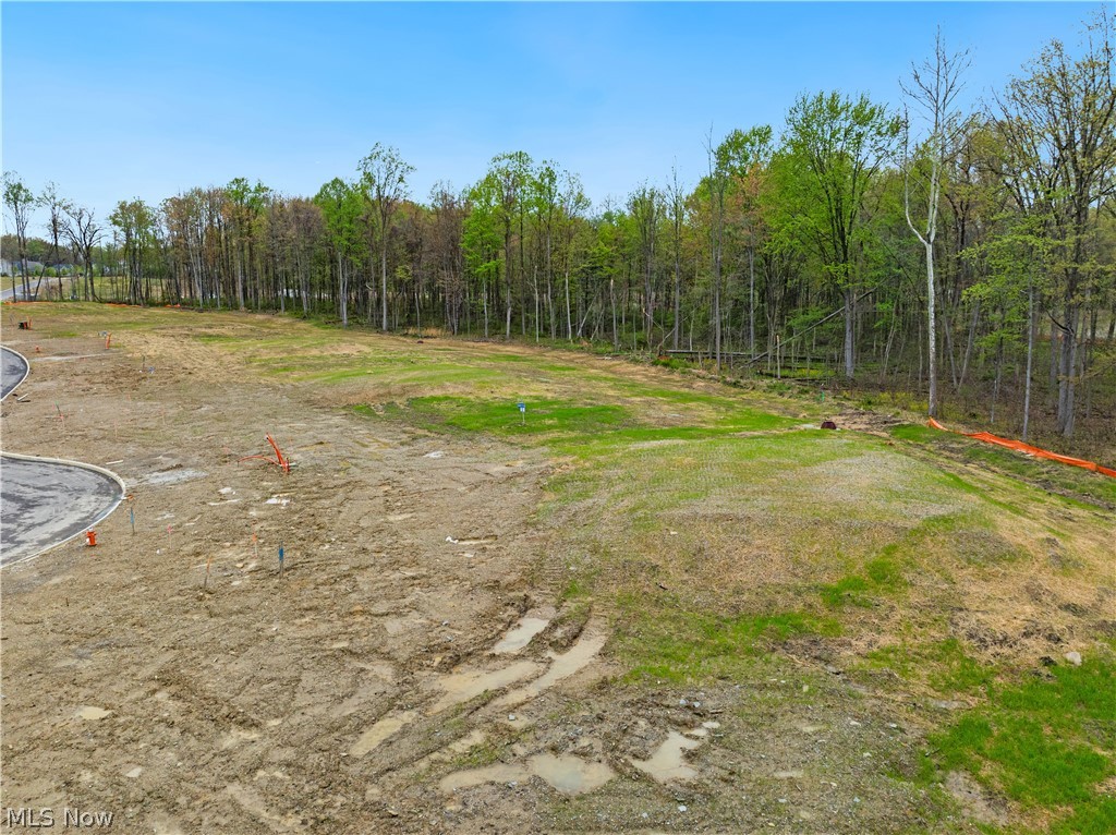 9533 River Birch Run