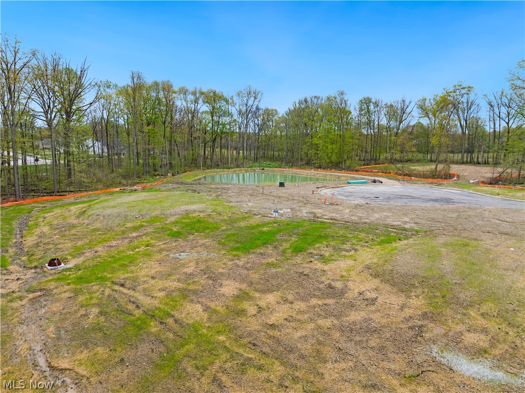 9533 River Birch Run