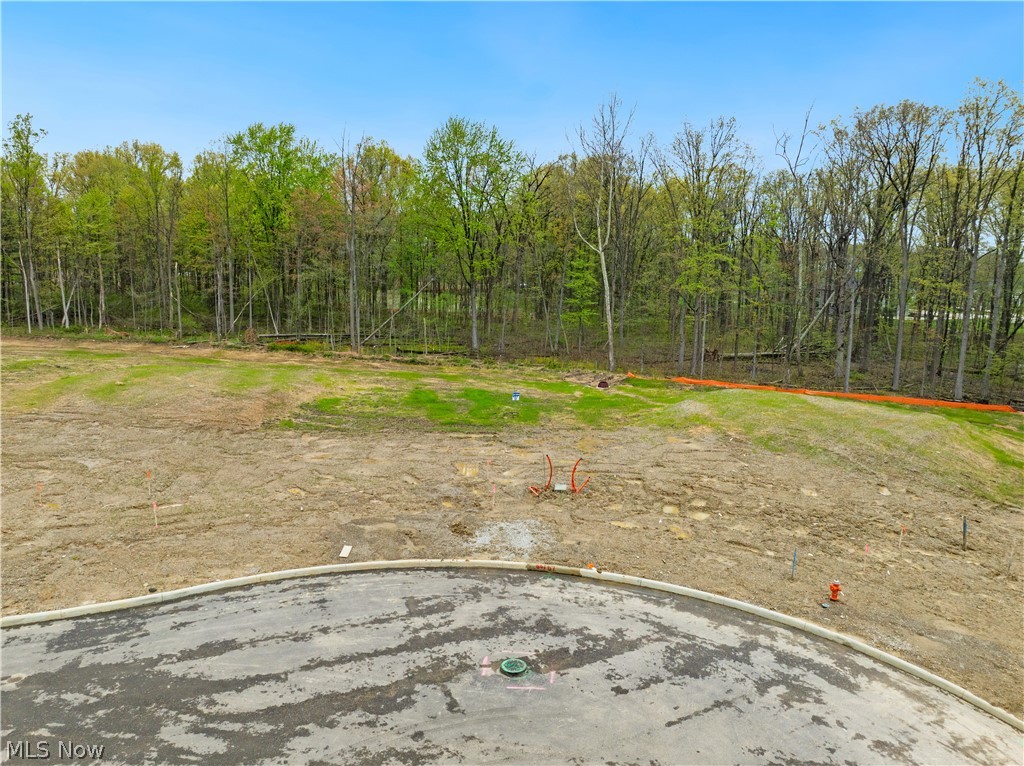 9533 River Birch Run