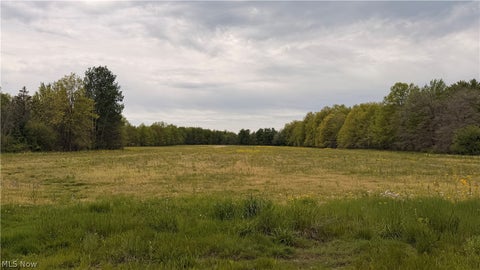 Vacant Land For Sale - Youngstown Kingsville<br/> Cortland, OH 44410