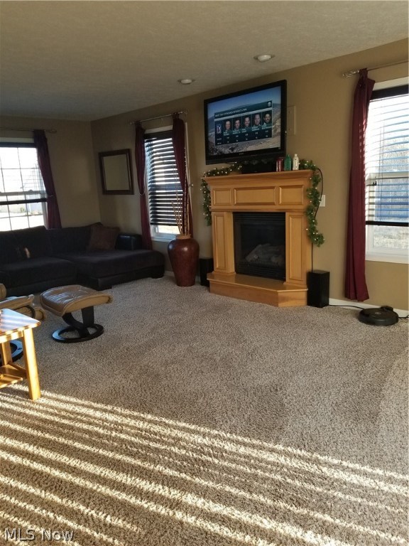 Kenyon Creek - Residential