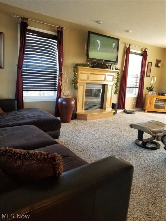 Kenyon Creek - Residential