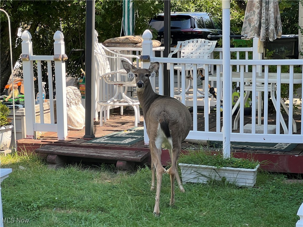 Cedar Center - Residential