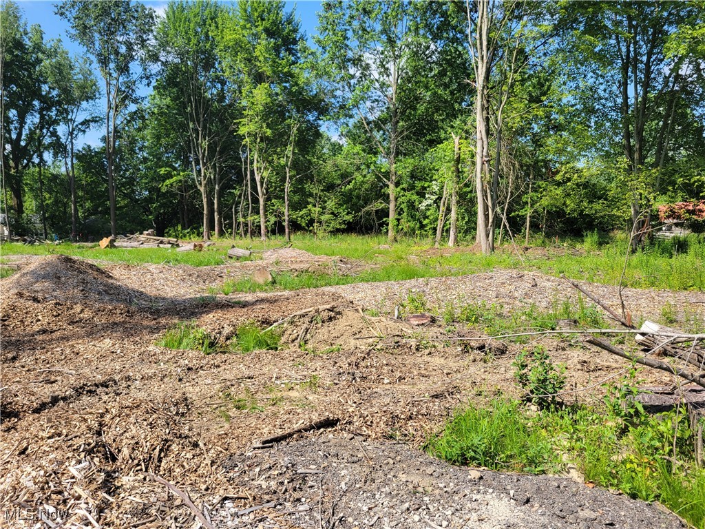 Secluded 4.68-Acre Homesite in Green City School District
Discover the perfect blend of privacy and convenience with this beautiful 4.68-acre parcel tucked away in a peaceful, wooded setting. Located within the desirable Green City School District, this property offers a ready-to-build site with trees already cleared for construction. Approved for the seller’s planned home and septic system, the groundwork is in place to start building your dream home. Enjoy the tranquility of nature with mature trees surrounding your future home site—ideal for those seeking space, privacy, and a head start on the building process.