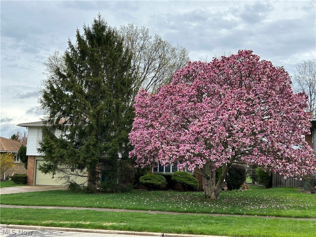5715 Skyline Drive