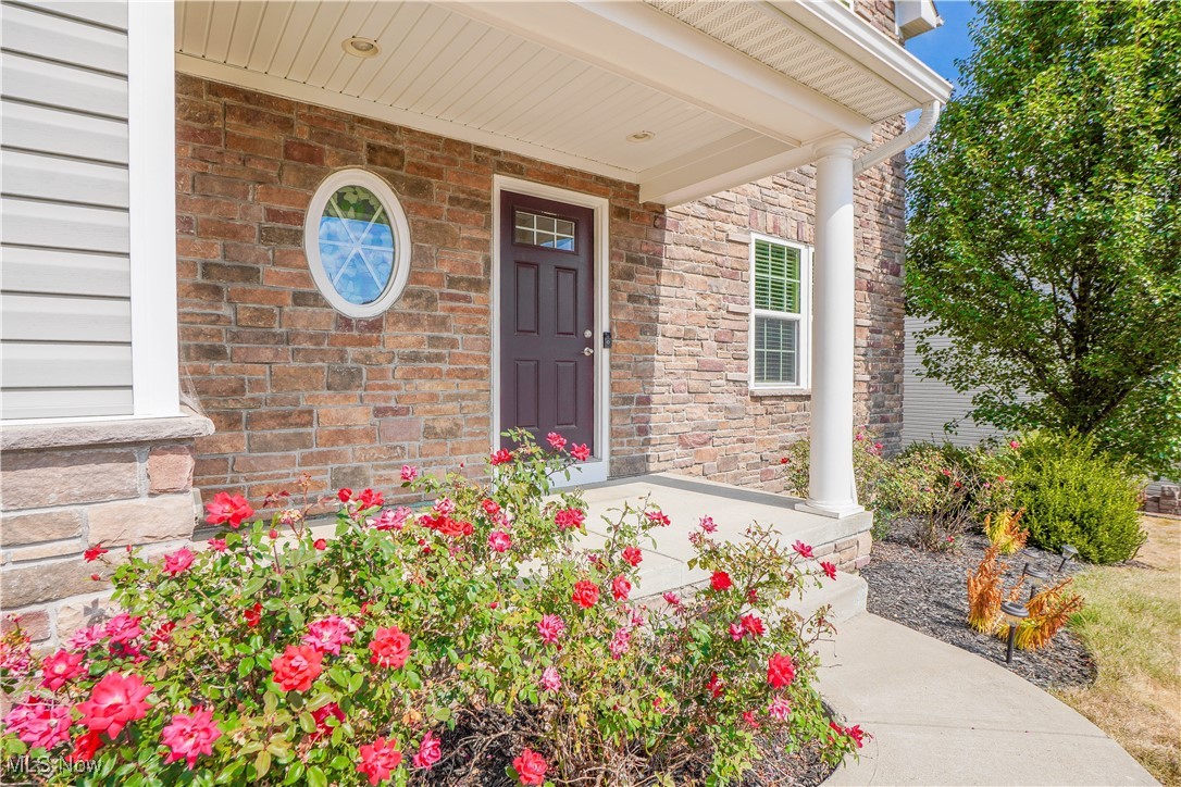 1563 Bellview Street NE